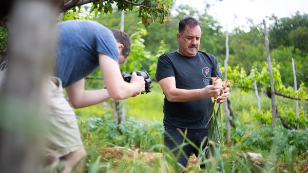 Neno Belan erntet frischen Knoblauch und wird dabei gefilmt.